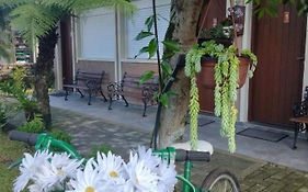 Hospedagem Caminho Das Rosas - Parcelamento Direto Casa De Hóspedes