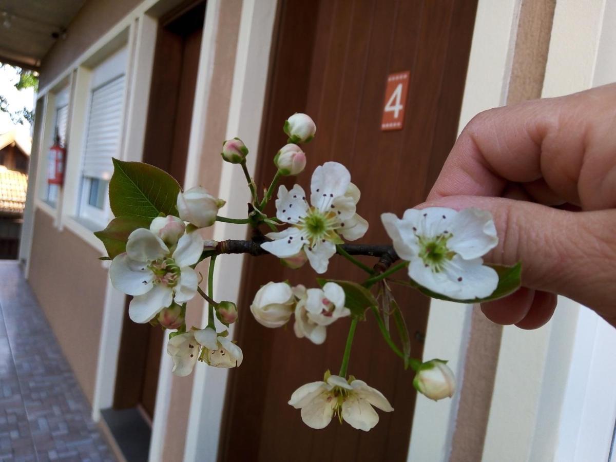 Hospedagem Caminho das Rosas - parcelamento direto Gramado Exterior foto